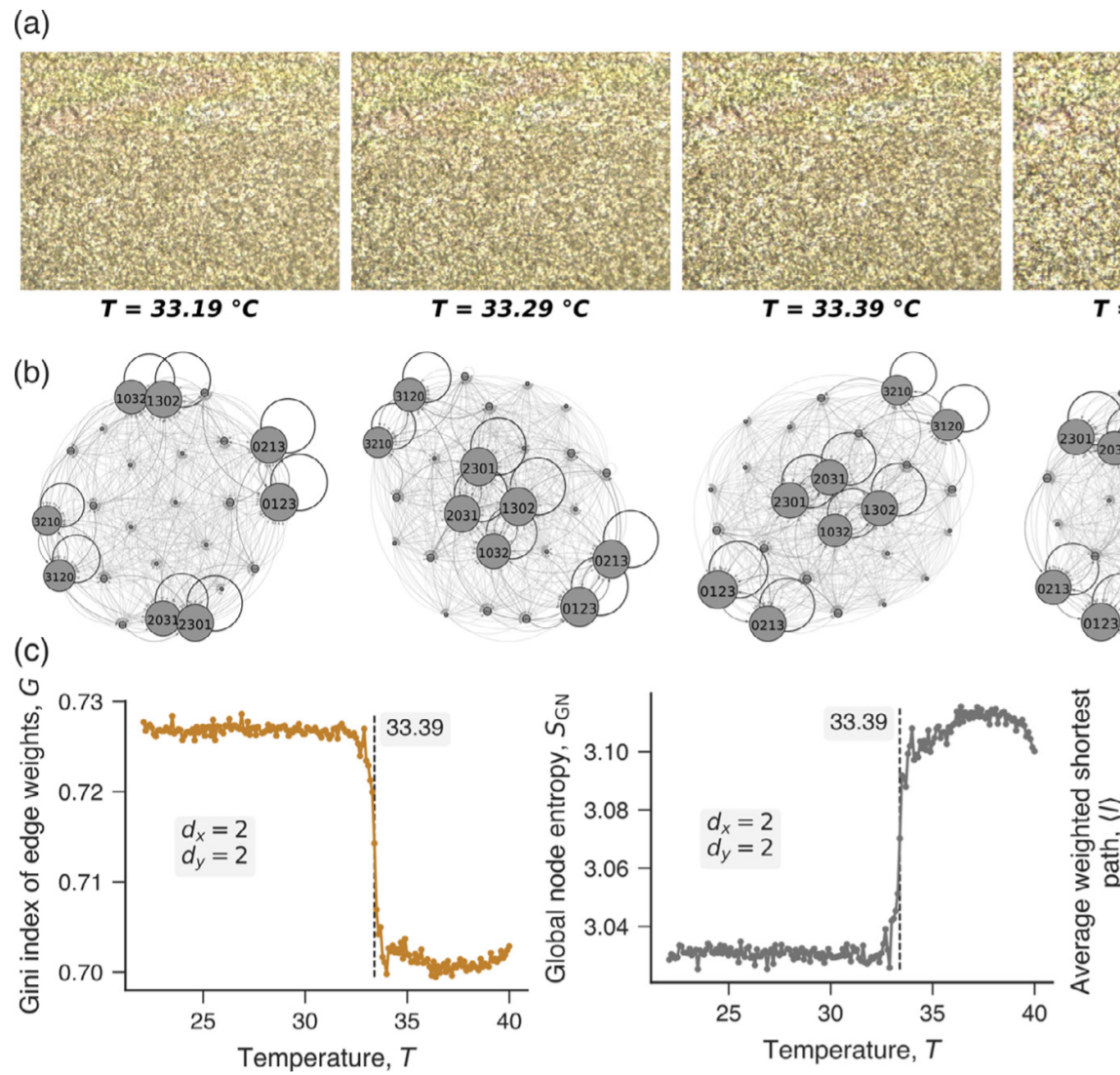 Determining Liquid Crystal Properties With Ordinal Networks And Machine ...