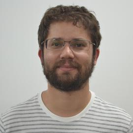 Haroldo Valentin Ribeiro