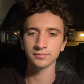 Vinícius Schuch Pimpão